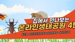 숲속나라 곤충, 동물 친구들: 집에서 만나는 온라인 생태공원 4